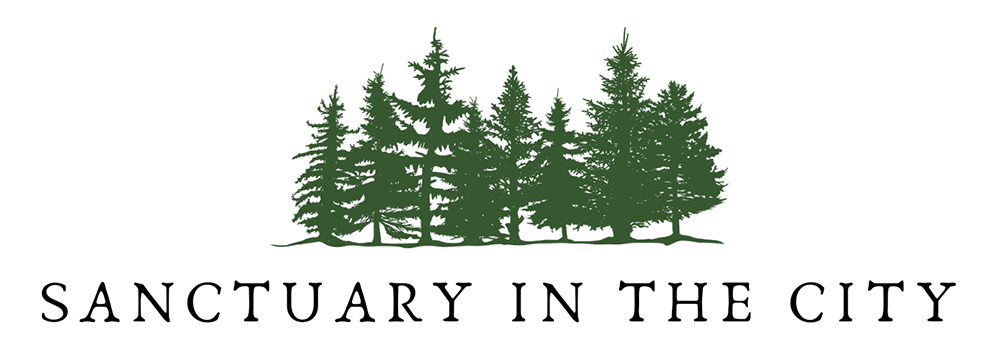 Sanctuary In The City